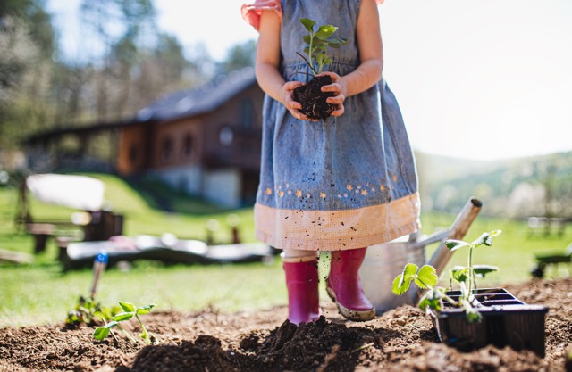 Children exploring the garden at Sarah's Montessori